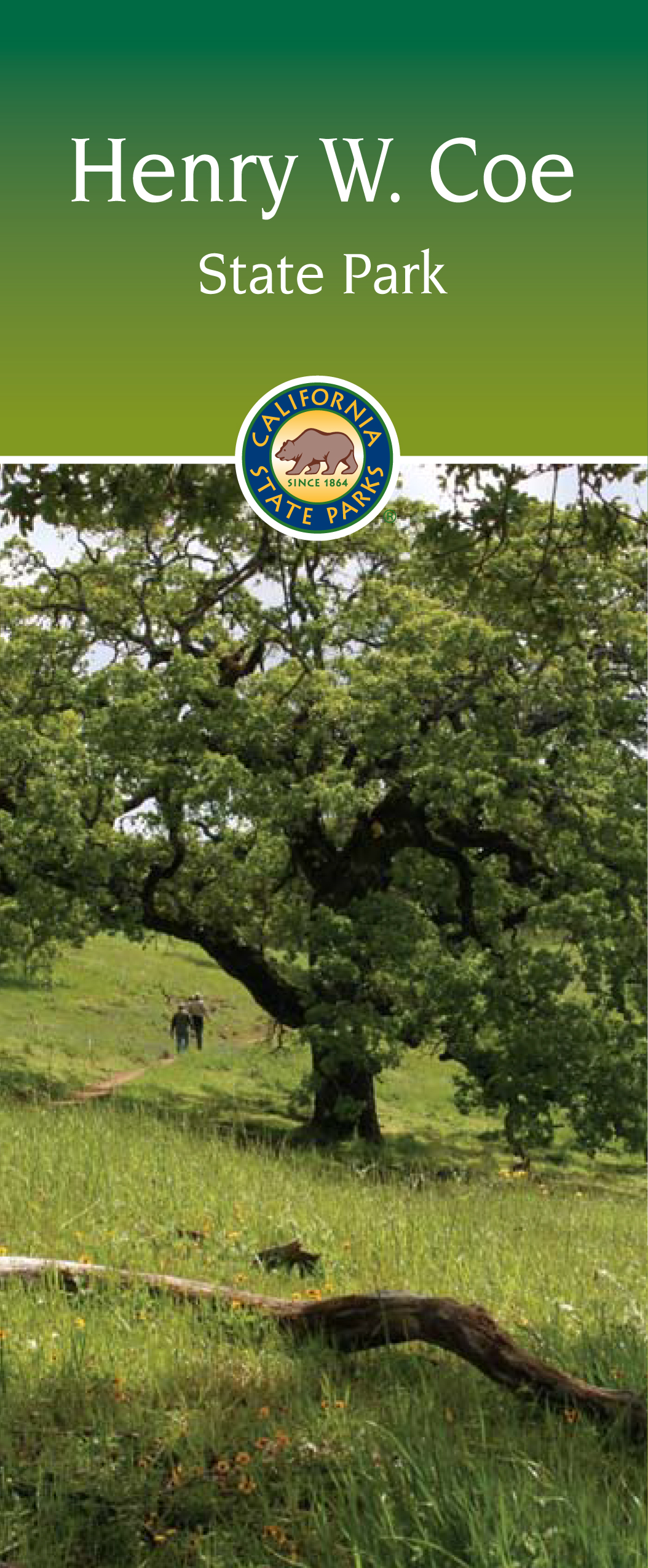 Coe Brochure
